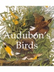 Mega Square - Audubon's Birds