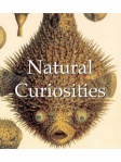 Mega Square - Natural Curiosities