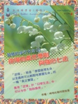 智慧的修行方向 2