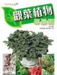 觀葉植物輕鬆種