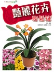 豔麗花卉輕鬆種