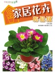 家居花卉輕鬆種