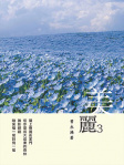 美麗3
