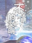不文明的文明
