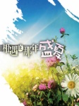 相遇在那年盛夏