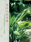 暴雨中的寧靜