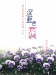 深藍色套裝