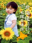北海道太陽花傳說