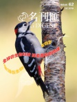 MAG DIGEST · 第62期
